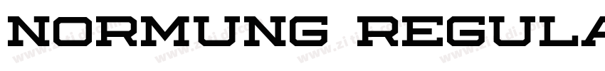 Normung Regular字体转换